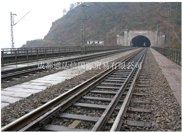 護(hù)輪軌 50HL 60HL